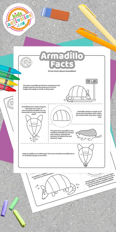 Armadillo Craft, Armadillo Coloring Page, Armadillo Drawing, Armadillo Silhouette, George Washington Facts, Armadillo Animal, Fairy Armadillo, Pink Fairy Armadillo, Animal Report