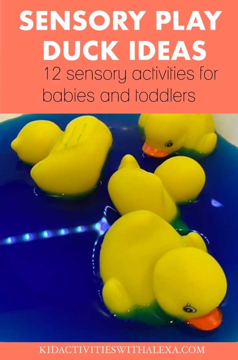 Duck Sensory Play, Rubber Duck Sensory Bin, Rubber Duck Activities For Preschool, Duck Fine Motor Activities, Duck Sensory Bin, Farm Animal Activities For Infants, Farm Activities For Infants, Animal Activities For Babies, Duck Activities