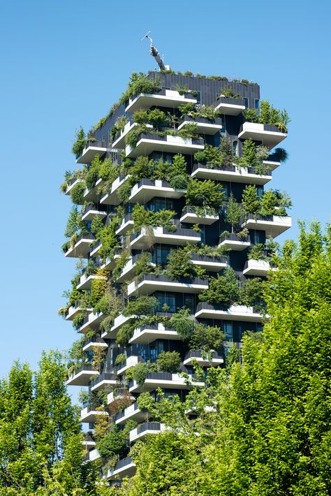 Forest Building, Vertical Forest, Green Land, New Urbanism, Green Apartment, Green Facade, Concept Models Architecture, Eco Architecture, Balcony Plants