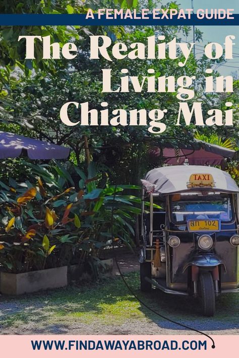 Want to move to Chiang Mai? See what it's really like living in Chiang Mai as a digital nomad. Check out the best neighborhoods to live in, what to do for fun, and how to make friends. Moving To Thailand, What To Do For Fun, Thailand Guide, Bangkok Travel, Work Abroad, Move Abroad, Cost Of Living, Beaches In The World, Make Friends