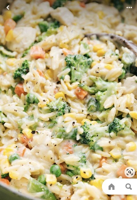 Creamy Orzo Recipes, Orzo Recipes Side, Creamy Orzo Pasta, Orzo Dishes, Creamy Orzo, Orzo Recipe, Resep Pasta, Parmesan Cream Sauce, Orzo Recipes