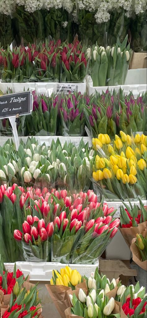 Tulip Market, Tulips Aesthetic, Purple Tulips, White Tulips, Aesthetic Vibes, Floral Shop, Pink Tulips, Urban Living, Market Shopping