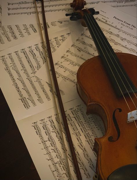 Fiddle Aesthetic, Violin Core, Violinist Aesthetic, Aesthetic Violin, Violin Aesthetic, Violin Pics, Violin Teacher, Trumpet Sheet Music, Violin Design