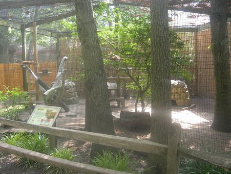 Red Fox exhibit - ZooChat Fox Habitat, Zoo Boo, Zoo Inspiration, Red Fox, Habitat, Gift Shop, Google Images, Planets, Concept Art