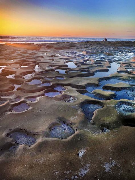 Visit Every Beach In La Jolla | Hidden San Diego La Jolla Shores, La Jolla Beach, Imperial Beach, National City, Mission Bay, Solana Beach, Mission Beach, San Diego Beach, Balboa Park