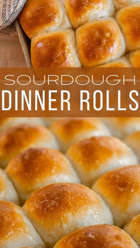 Make these easy sourdough discard dinner rolls on no time. They are soft and fluffy and only take 1-2 hours to make! Sourdough Dinner, Sourdough Dinner Rolls, Recipe Using Sourdough Starter, Farm Recipes, Sourdough Rolls, Sourdough Starter Discard Recipe, Easy Sourdough, Scratch Recipes, Homemade Sourdough Bread