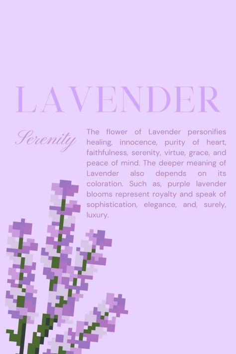 Lilac Flower Bouquet Aesthetic, Lavender Meaning Flower, Soft Purple Aesthetic Vintage, Lavender Bouquet Aesthetic, Lavender Pixel Art, Soft Lavender Aesthetic Wallpaper, Aesthetic Lavender Flowers, Lavender Flowers Aesthetic, Lavender Aesthetic Flower