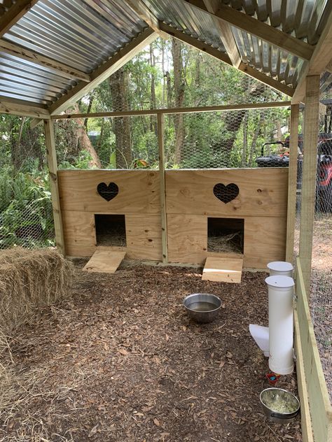 Cheap Duck Coop Ideas, Inside Chicken Run Ideas, Diy Duck Pen Simple, Duck Cage Ideas, Inside Duck Coop, Easy Duck House, Duck Set Up, Duck And Chicken Coop, Quack Shack Ideas