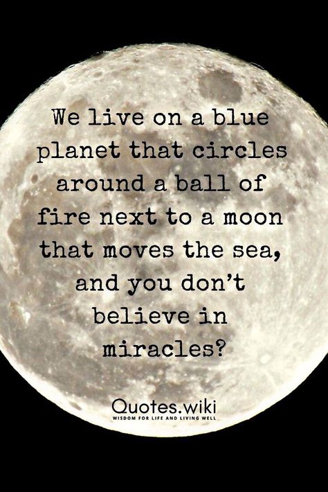 Moon Quotes, Blue Planet, On The Moon, No Ads, Quotable Quotes, Wise Quotes, Good Thoughts, Great Quotes, Wisdom Quotes