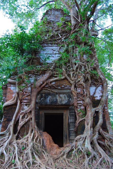 Overgrown Ruins Photography, Overgrown Ruins Drawing, Overgrown Steampunk, Overgrown Buildings, Overgrown Nature, Overgrown City, Overgrown Ruins, Overgrown Plants, Tower Aesthetic