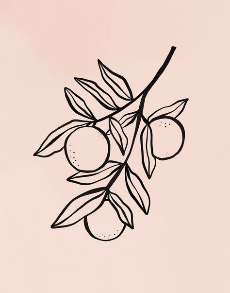 Daisy Curls Drawing Fruit, Oranges Fruit, Fruit Poster, Fruit Tattoo, Leopard Tattoos, Branch Tattoo, Fruits Drawing, Vine Tattoos, Plant Tattoo