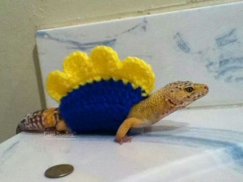 Stegosaurus gecko @daydream713 @claudiabusse Leopard Gecko Costume, Leopard Gecko Crochet, Leopard Gecko Habitat, Gecko Habitat, Bearded Dragon Habitat, Cute Gecko, Cute Lizard, Leopard Geckos, Cute Reptiles