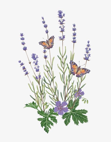 Butterfly App Icon, Bush Drawing, Lavender Paint, Lavender Tattoo, Lavender Butterfly, Plant Art Print, Wine Glass Art, Butterfly Clip Art, Lavender Plant