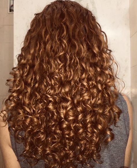 Nikki Hairstyles, 3b Curly Hair, Curly Nikki, 3b Hair, Effortless Hair, Honey Hair Color, Strawberry Blonde Hair Color, Hair Color Caramel, Curly Hair Types