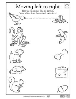 In this early writing worksheet, your child will draw straight lines across the page to connect each animal to its dinner. Kindergarten Animals, Worksheet For Nursery Class, Preschool Reading, Animal Worksheets, Printable Preschool Worksheets, Preschool Writing, Kindergarten Writing, Science Worksheets, Reading Worksheets