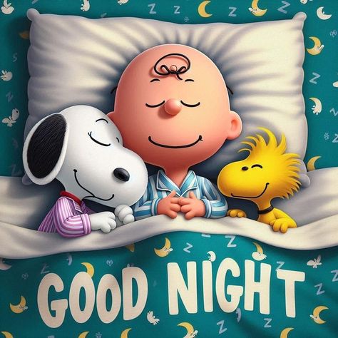 Snoopy Calendar, Goodnight Baby, Goodnight Snoopy, Peanuts Quotes, Miss Images, Snoopy Quotes, Snoopy Pictures, Classic Cartoon Characters, Funny Cartoon Quotes