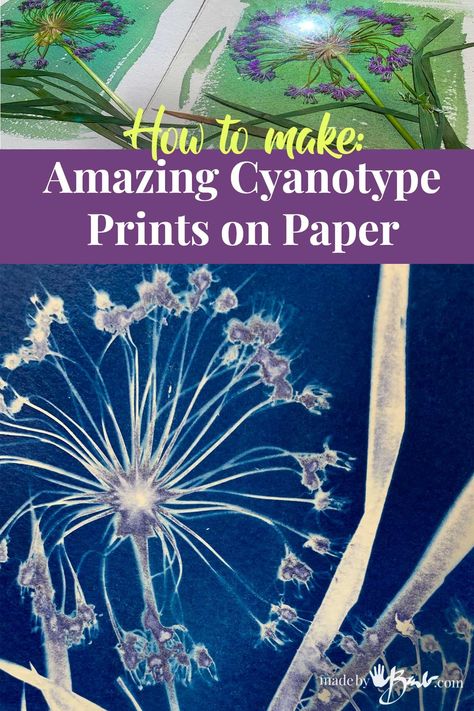 My 10 Most Popular Tutorials of 2023 - Made By Barb - best posts Best Watercolor Paper, Flower Film, Sun Printing, Paper Making Process, Cyanotype Process, Sun Prints, Botanical Plants, Backyard Flowers, Create Picture