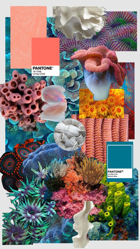 Coral Colour Scheme, Under The Sea Fashion Mood Board, Coral Reef Outfit, Coral Reef Inspired Fashion, Sustainable Fashion Aesthetic Moodboard, Coral Inspired Fashion, Coral Textiles, Coral Reef Fashion, Sea Sustainability