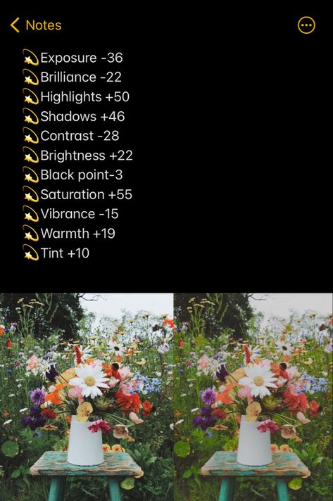 Apple Editing Presets, Photo Editing Apple Photos, Flower Photo Edit Iphone, Retro Photo Edit Iphone, Apple Photos Edit, Apple Photos Presets, Nature Picture Editing, Dreamy Iphone Edit, Spring Photo Editing