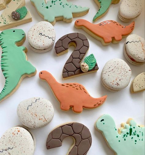 2nd Birthday Boy Themes Dinosaurs, Two Year Old Dinosaur Birthday Party, Dino Macarons, Dino Cookies, Dinosaur Birthday Cookies Boys, 1st Birthday Dinosaur Cookies, Dinosaur Theme Cookies, Dinosaur Macarons, Dino Theme Cookies