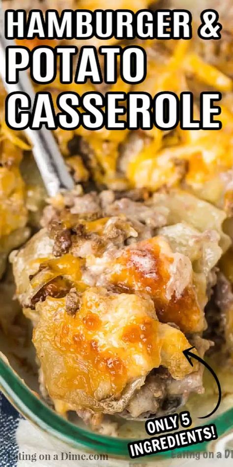 Hamburger Potato Casserole Recipe has everything you need for a great meal. Lots of creamy potatoes and hearty beef make this a hit. Hamburger And Potato Casserole, Best Hamburger Casserole Recipes, Easy Hamburger Casserole, Recipes Hamburger, Hamburger Potato Casserole, Hamburger Casseroles Recipes, Creamy Potatoes, Hamburger Dishes, Chicken Honey