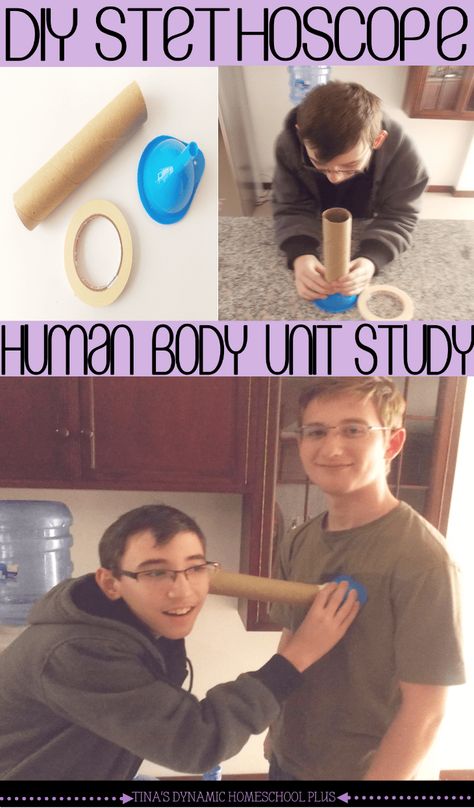 Diy Stethoscope, Human Body Lapbook, Human Body Homeschool, Human Body Unit Study, Free Human Body, Human Body Science, Human Body Activities, Body Science, Human Body Unit