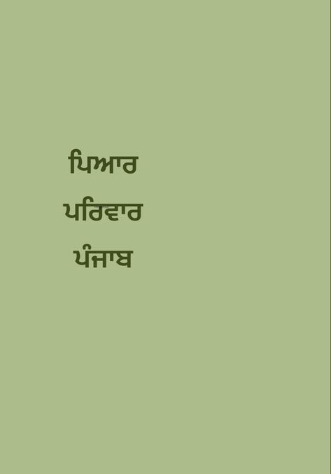 Love for punjab Sikhi Aesthetics, Sikh Aesthetic, Sikhism Aesthetic, Punjabi Aesthetic Wallpaper, Punjabi Words, Punjab Aesthetic, Desi Illustration, Punjab Quotes, Punjabi Aesthetic