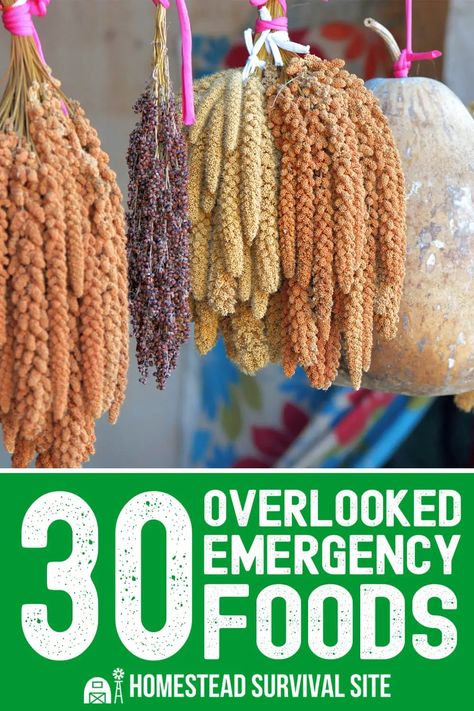 Best Survival Food, Make Almond Flour, Survival Food Storage, Emergency Preparedness Food, Canning Food Preservation, Emergency Food Storage, Homemade Pantry, Nutritious Foods, Emergency Preparedness Kit