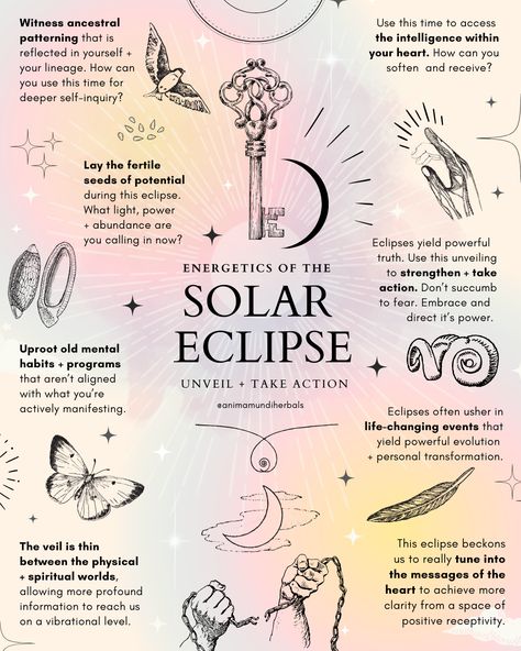 April 19th, a powerful 🌒 solar eclipse will take place in the zodiac sign of Aries. Solar eclipses usher in a time of profound spiritual transformation. During these times, the thinning of the veils between the physical and spiritual realms allows us to access deeper levels of consciousness and understanding. Keep reading more >> link on this post! Solar Eclipse Energy, Solar Eclipse Spells, Eclipse Witchcraft, Hellenic Witchcraft, Solar Eclipse Ritual, Solar Eclipse Magic, Eclipse Ritual, Solar Witch, Full Moon Meaning