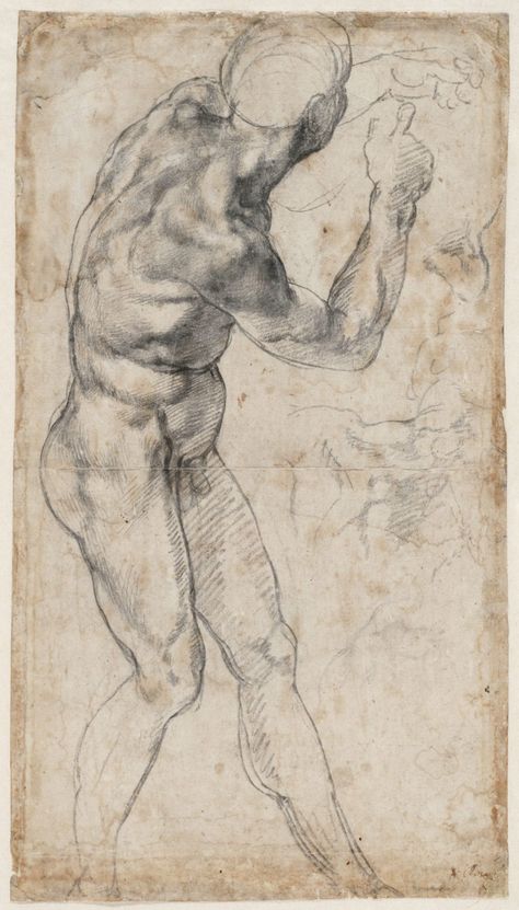 Master Drawings, Academic Drawing, Nude Body, Master Drawing, Human Figure Drawing, Getty Museum, Cleveland Museum Of Art, Figure Sketching, Anatomy Drawing