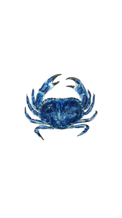 Crab Wallpaper, Plakat Design Inspiration, Summer Prints Wallpaper, Beachy Prints, Coastal Wallpaper, Cute Summer Wallpapers, Beach Icon, Wallpaper Iphone Summer, Simple Phone Wallpapers