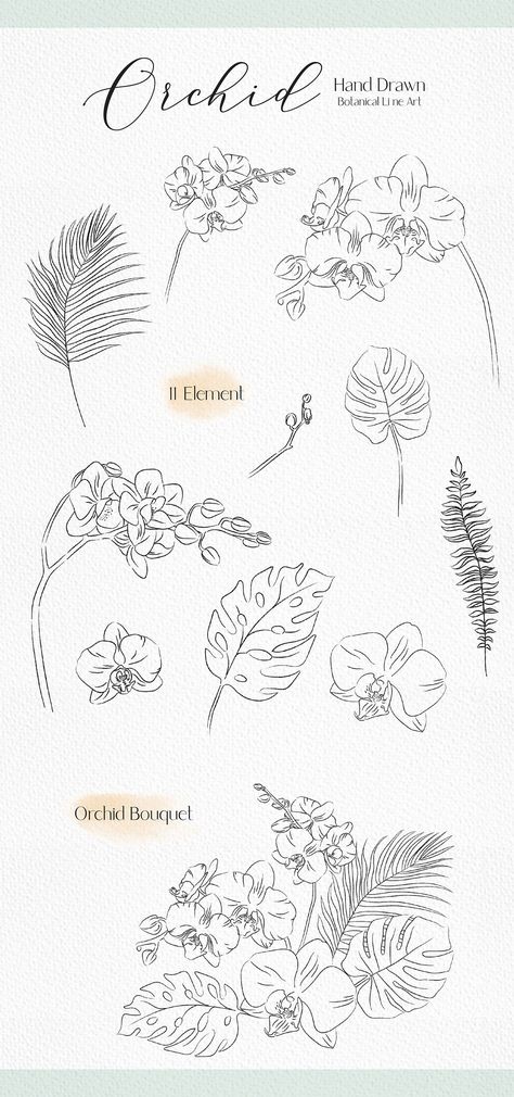 Orchid Line Tattoo, Orchid Line Art, Orchid Doodle, Orchid Line Drawing, Orchid Flower Drawing, Orchid Sketch, Line Drawing Wedding, Orchid Png, Orchid Tattoo Design