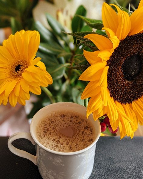 Did you know, sunflowers grow facing the sun. But she there's no sun, they turn to face each other 🙂 Coffee And Sunflowers, Sunflower And Sunshine Aesthetic, Sunflower Teapot, Coffee With Flowers Photography, Sunflower Ceramic Mug, Coffee Vs Tea, Coffee Gif, Masala Spice, Pumpkin Photos