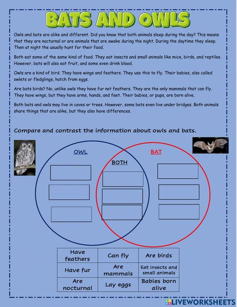 Compare And Contrast Worksheet, Compare And Contrast Activities, Worksheet 3rd Grade, Fiction Vs Nonfiction, Reading Main Idea, English 101, Classroom Bulletin Boards Elementary, Sight Word Reading, Worksheet For Kids