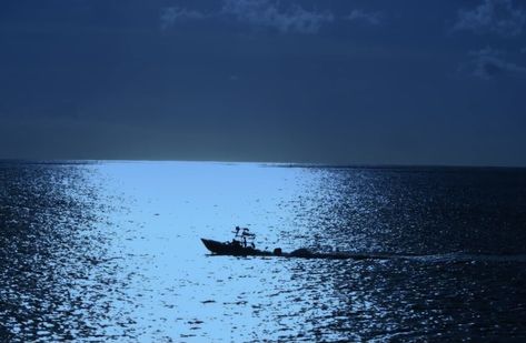 Blue Obx Aesthetic, Season 2 Outer Banks, Paradise On Earth, Blue Hour, Outer Banks, Blue Aesthetic, Percy Jackson, Blue Ocean, Banks