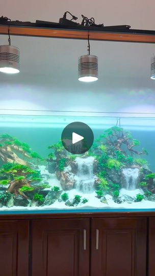 Viral Post, Fish Tank, Layout Design, How To Plan, Dogs