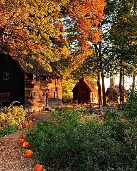 Roadtrip New England on Instagram: “Roadtrip New England- Picture of the day . 📸 @purelysalem . 🤘 Pioneer Village . 👍🏻Thanks for the great New England capture! . .…” Salam Massachusetts, Salem Massachusetts Fall, Witchy Cabin, Salem Fall, Massachusetts Fall, Happy October 1st, England Autumn, Salem Mass, Pioneer Village