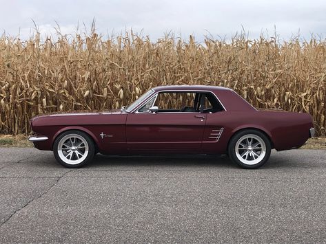 60s Ford Mustang, 1966 Ford Mustang Coupe, 1960 Mustang, 1967 Mustang Coupe, 1965 Mustang Gt, 60s Mustang, Mustang 66, Mustang 1968, 68 Ford Mustang