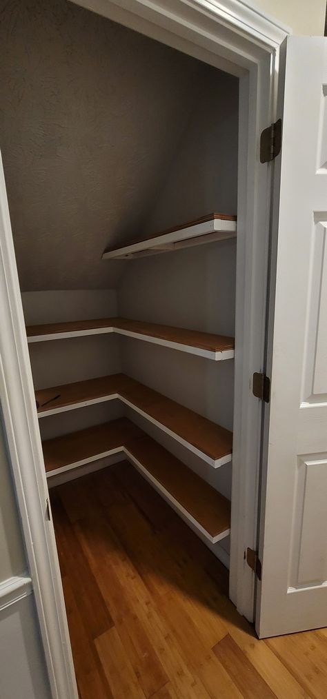 Small Pantry Room Ideas Walk In, Tiny Pantry Under Stairs, Understairs Closet Idea, Pantry Below Staircase, Sloped Under Stairs Storage, Under Stairs Broom Closet, Turn Under Stairs Closet Into Pantry, Narrow Under Stairs Pantry, Slanted Pantry Ideas