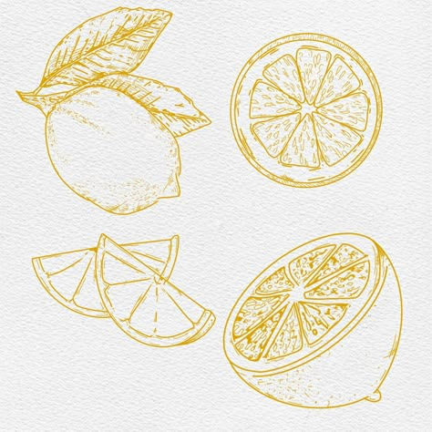 Drawings Of Lemons, Lemon Half Tattoo, Lemon Slices Drawing, Orange And Lemon Tattoo, Orange Slice Tattoo Black And White, Italian Lemon Tattoo, Lemon Lime Tattoo, Lemon Line Art, Lime Wedge Tattoo