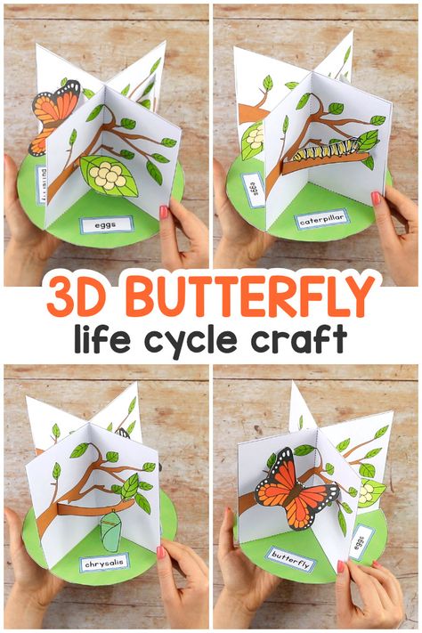 3D Butterfly Life Cycle Craft - Easy Peasy and Fun Butterfly Life Cycle Science Project, Butterflies Life Cycle, Butterfly Cycle Project, 3d Life Cycle Of A Butterfly Craft, Paper Project Ideas, Animal Diorama, Ballet Movement, Cycle Butterfly, Butterfly Life Cycle Activity