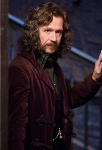 Sirius Black jacket vest Sirius Black Gary Oldman, Harry Potter Family Tree, Black Reference, Walburga Black, Film Harry Potter, Citate Harry Potter, Harry Potter Cosplay, Images Harry Potter, Potter Facts