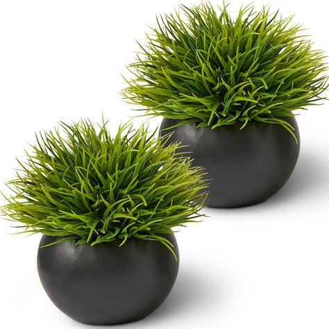 PRICES MAY VARY. REALISTIC FAUX PLANTS – Don’t have a green thumb? No worries. SEEKO’s 2-pack of hyper-realistic faux plants looks & feels like the real thing. No water, sunlight, or crafting is needed to maintain these decorative plants! THE PERFECT SIZE – These artificial plants are potted in matte black ceramic pots. Its realistic size of 6.5 x 6.5 inches makes it great for centerpieces, office decor, living room decor, and more! ACCENTS ANY DECOR – All of our faux plants are sized, styled, a Plants For Bathroom, Plants For Office, Masculine Home Decor, Desk Plant, Fake Potted Plants, Decorative Plants, Tv Stand Decor, Desk Plants, Fake Plants Decor