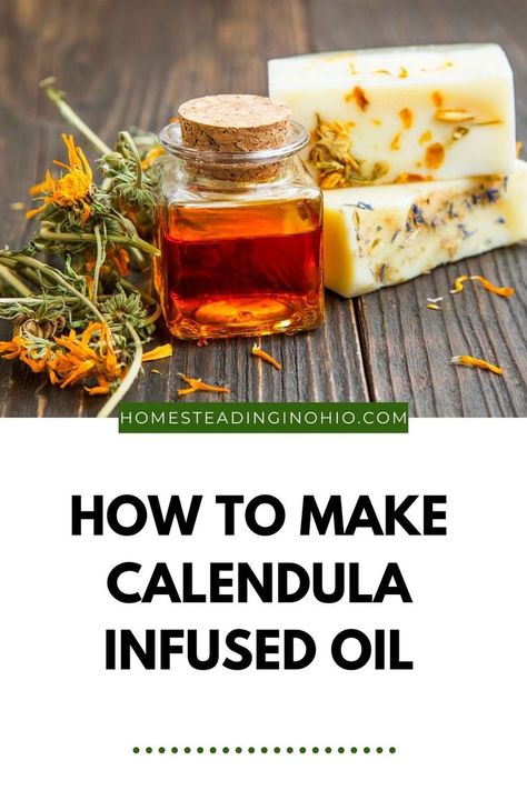 Calendula Oil Benefits, Benefits Of Calendula, Herbal Infused Oil, Calendula Infused Oil, Infused Oil Recipes, Oil Infusion, Natural Skincare Recipes, Diy Herbal Remedies, Herbal Remedies Recipes