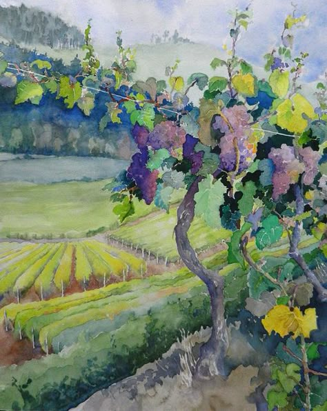 "Benton County Vineyard" by Doyle Leek by Corvallis Fall Festival, via Flickr Australian Landscapes, Vineyard Art, Wine Vineyards, Watercolor Fruit, Fruit Painting, Wine Art, 수채화 그림, Watercolor Trees, Tableaux Paysage