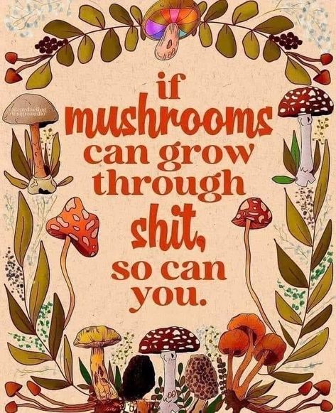 Fermented Mushrooms, Full Spectrum, Quotable Quotes, Pretty Words, Pretty Quotes, The Words, Wisdom Quotes, Cat Memes, Inspire Me