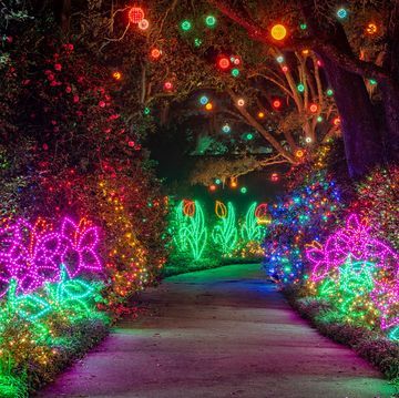 These Magical Islands in the U.S. Are Perfect for a Girls' Trip Best Christmas Light Displays, Holiday Lights Display, Small Towns Usa, Christmas Light Show, Best Christmas Lights, Christmas Light Displays, Beautiful Streets, Christmas Garden, Island Getaway