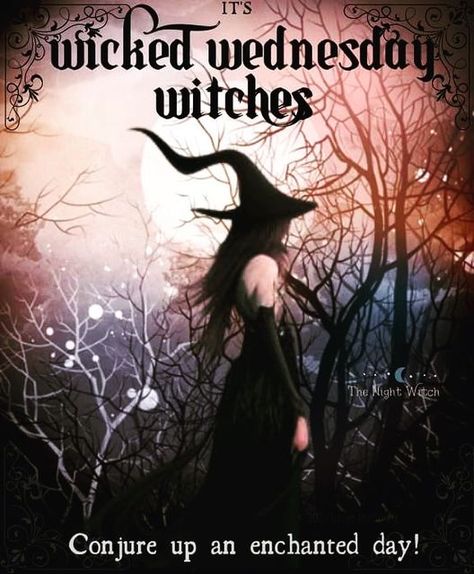 Margaret Jamison on Instagram: "What are you up to this Wednesday? Thank you FB The Night Witch" Wednesday Witch, Witchy Wednesday, Witch Meme, Tea Magic, Shadow Book, Witch Life, Night Witches, Witch Pictures, Good Morning Happy Monday