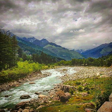 Heaven on earth... Manali  Plan your Manali trip today contact us rightaway at 1800113939                          #Manali #Manaliinn #Beas #mountain #manalicalling #holiday #spa #trekking #himalaya #luxury #hotel #restaurant #relax #enjoy #goodfood  #luxury #goodlife #himachal  #wanderlust #travellust #travel #travelporn #traveldiary #photography #Kasol #leh #forest #nature #wander Kasol Trip, Luxury Hotel Restaurant, Manali Trip, Forest Nature, Leh, Travel Diary, Heaven On Earth, Hotel Restaurant, Luxury Hotel