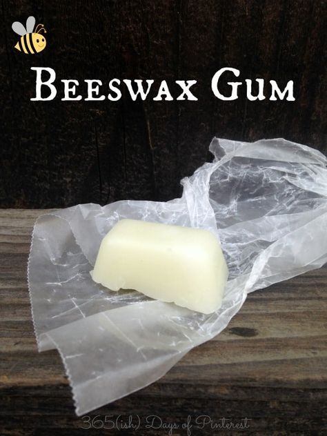 beeswax gum Diy Chewing Gum, Homemade Chewing Gum, Gum Recipe, Xylitol Gum, Spearmint Gum, Wood Spoon Carving, Homestead Life, State Of Maine, Colonial Times